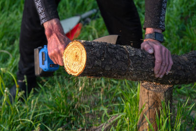 Low section of man working in forest