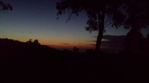 Silhouette of trees at sunset