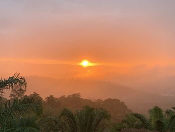 Scenic view of palm trees against romantic sky at sunset