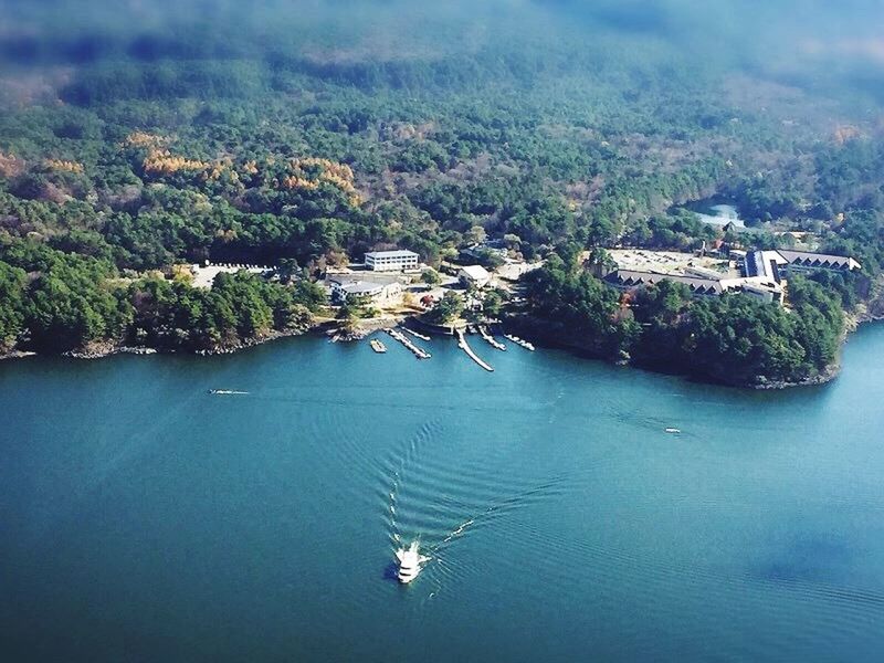 water, waterfront, animal themes, reflection, wildlife, animals in the wild, blue, nature, high angle view, bird, swimming, sea, beauty in nature, lake, tranquility, floating on water, one animal, no people, day, outdoors