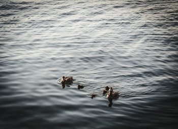 View of water in water