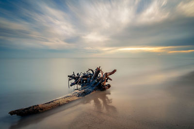 Scenic view of sea against sky at sunset