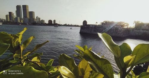 Scenic view of river by buildings against sky