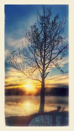 Bare tree on landscape against the sky