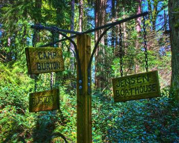 Information sign in forest