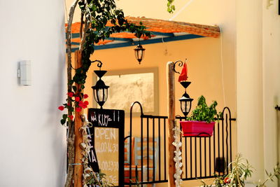 Potted plants hanging on wall of building