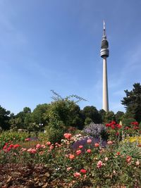 View of flowering plants against cloudy sky