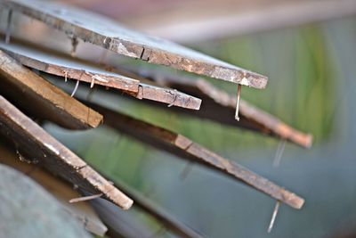 Close-up of wood plate