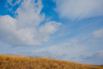 Low angle view of field against sky