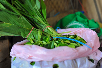 Close-up of plant