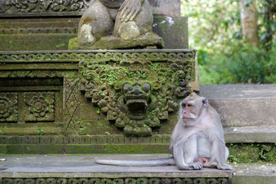 Statue of temple