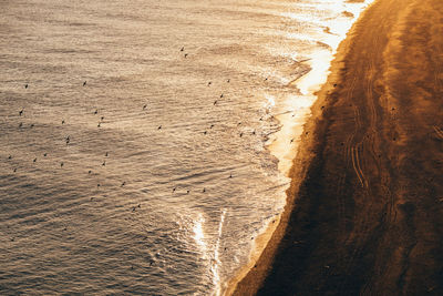 Scenic view of coast