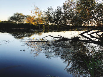 Reflection of trees in lake against sky