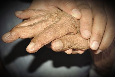 Close-up of woman holding hands