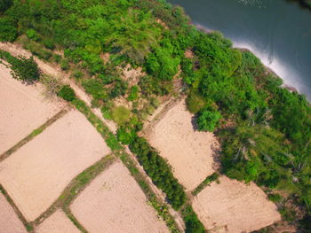 Aeria view of farm and forest