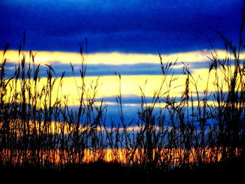 Silhouette plants by lake against sky during sunset