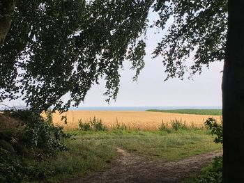 Scenic view of field against sky