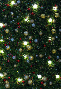 Full frame shot of illuminated christmas tree