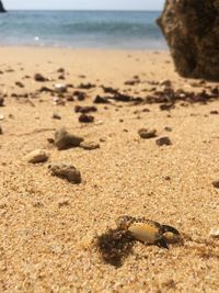 Close-up of sand on beach against sky