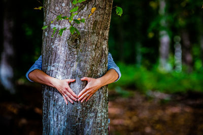 Midsection of man holding tree trunk in forest