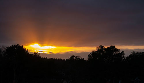 Silhouette trees against dramatic sky during sunset