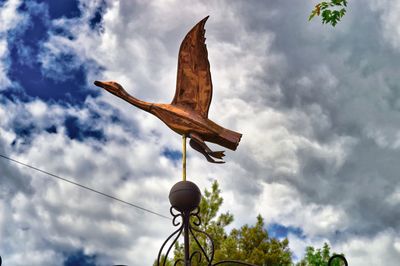 Low angle view of bird flying against sky