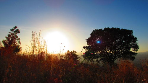 Scenic view of field against sky at sunset