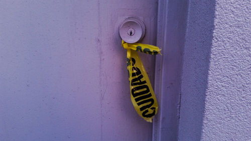 Close-up of yellow flower