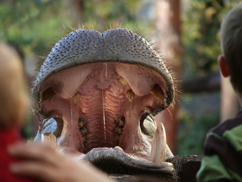 Close-up of human hand