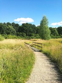 Scenic view of grassy field against sky