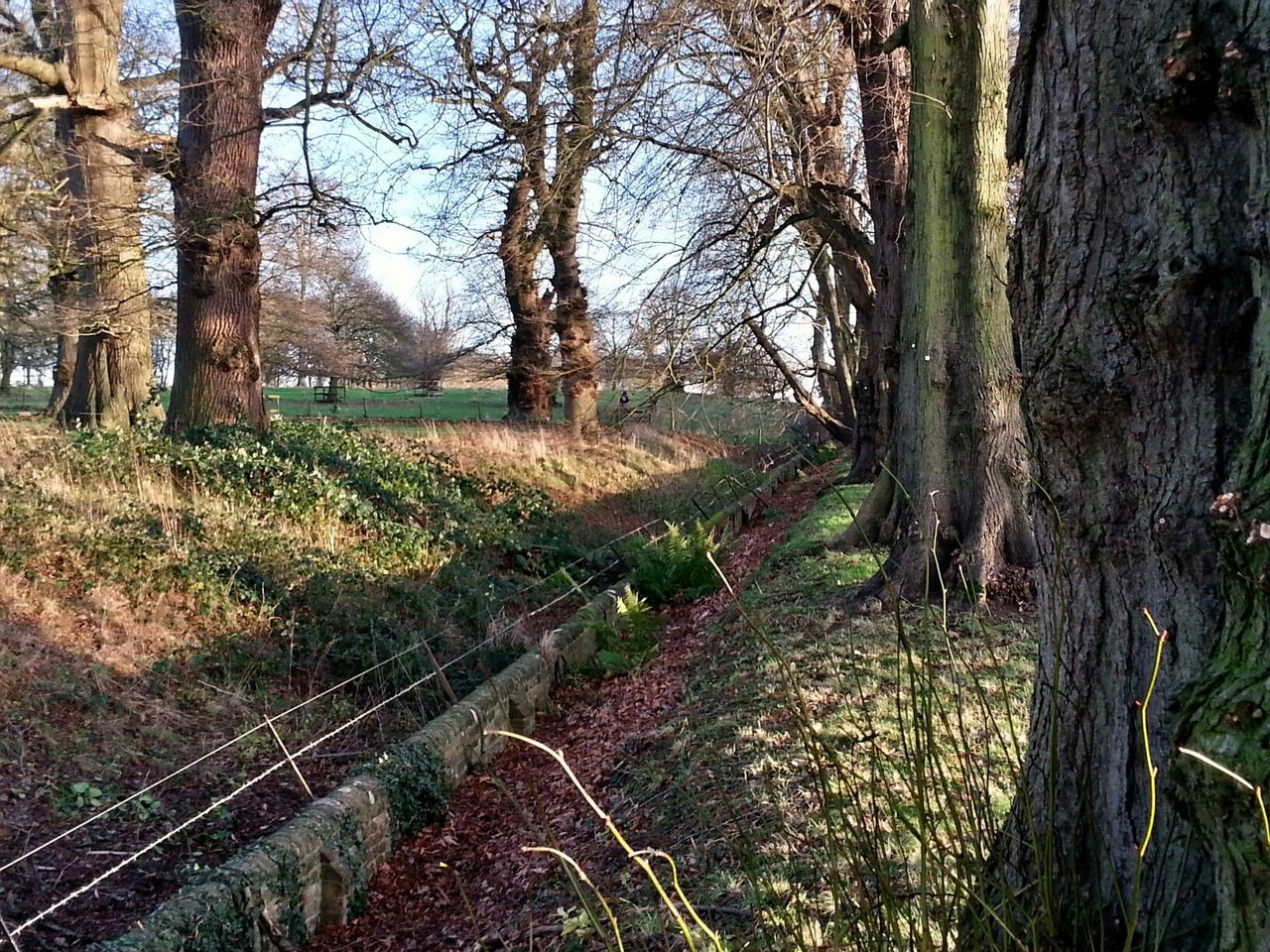 Blickling Hall