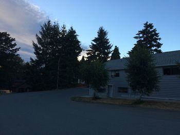 Road by trees and buildings against sky