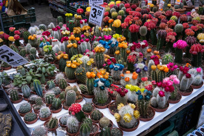 High angle view of flower pots for sale in market