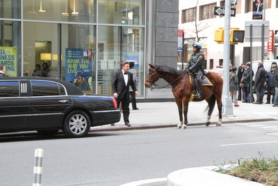 Horse cart on street in city