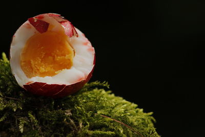 Close-up of water over white background