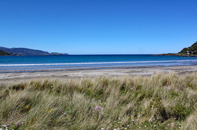 Scenic view of sea against clear blue sky