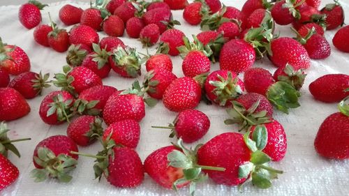 Close-up of strawberries
