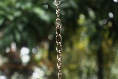 chain