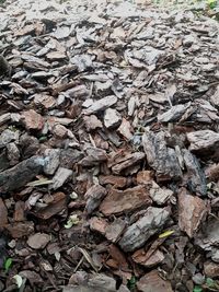 Full frame shot of dried leaves on ground