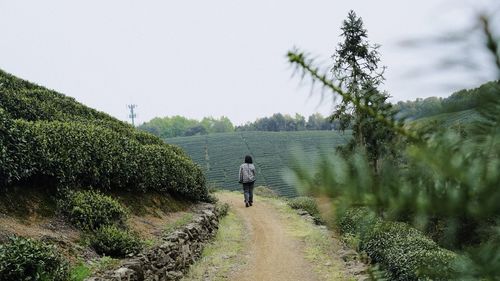 Rear view of man walking on footpath against sky