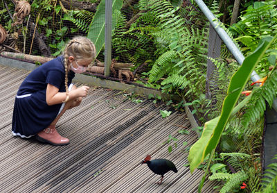 Side view of girl and bird and plant