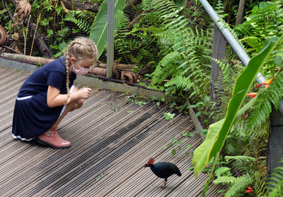 Rear view of girl and bird on plant