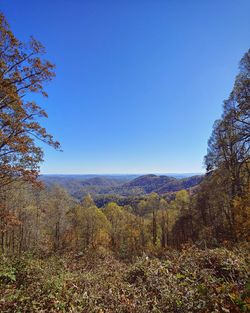 Scenic view of landscape against clear blue sky