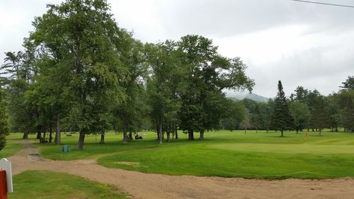 Trees on landscape against sky