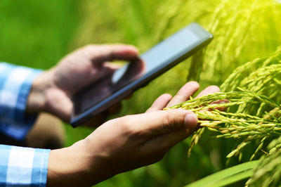 Midsection of man using mobile phone