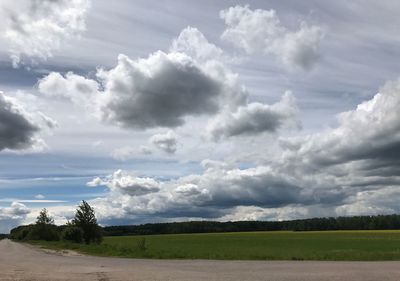 Scenic view of field against sky