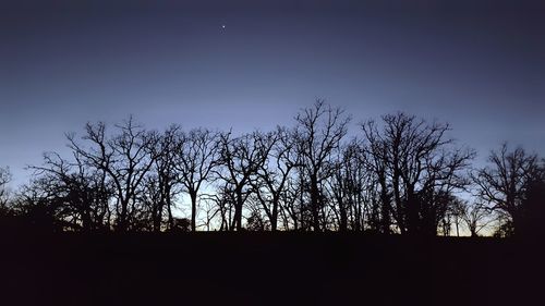 Silhouette trees against clear sky at night