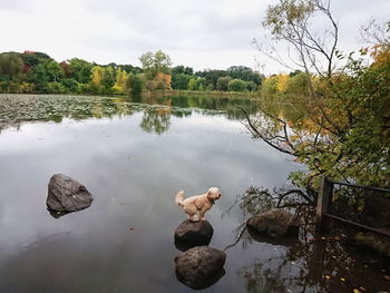 Scenic view of lake against sky