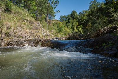 Stream flowing through rocks in forest