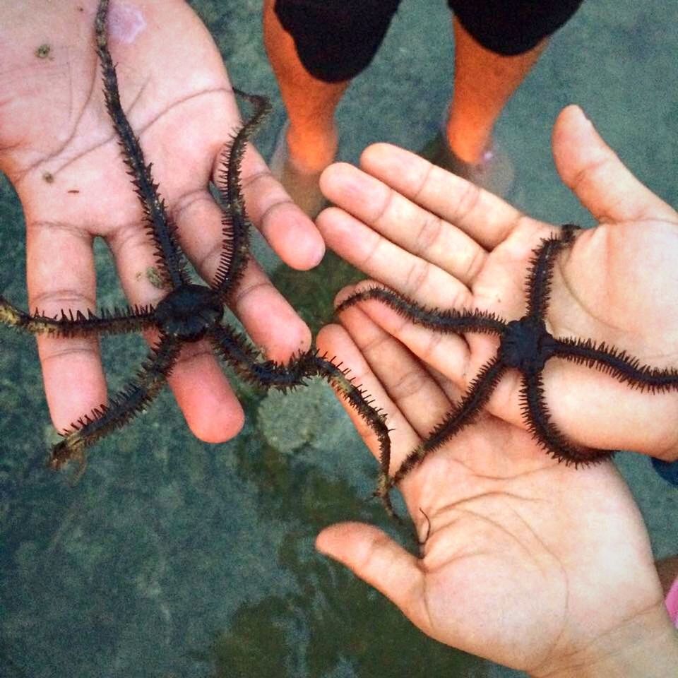 person, part of, holding, human finger, high angle view, close-up, leisure activity, lifestyles, cropped, unrecognizable person, personal perspective, palm, outdoors, togetherness, beach, nature